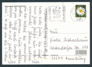 Preview: Fähre Scandlines, Segelschulschiff am Ostseebad Warnemünde